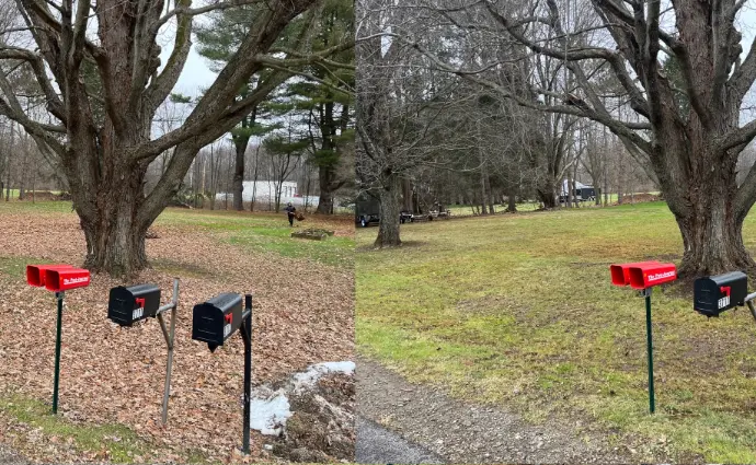 Arrowwood Landscaping Fall clean-up Leaf removal