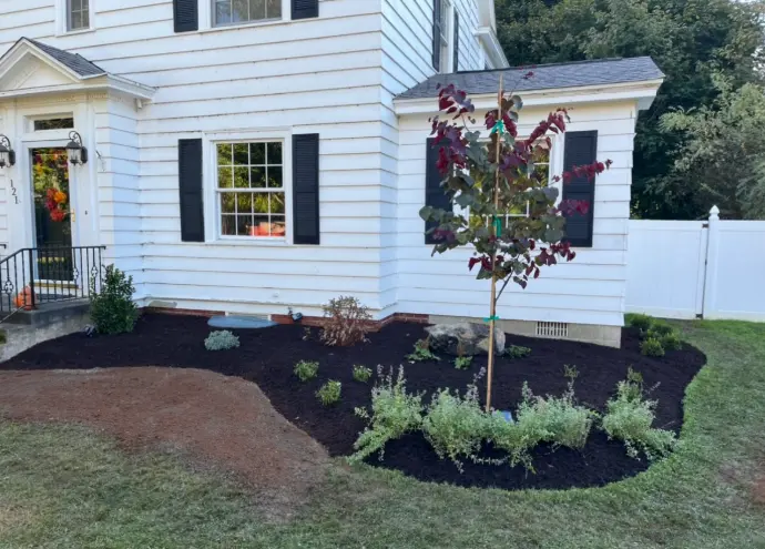 Arrowwood Landscaping Landscape Design Unique tree Mulch bed