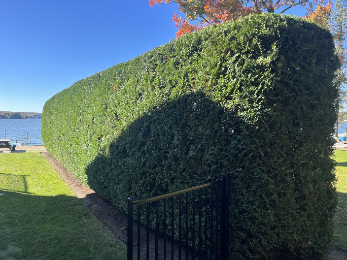 Arrowwood Landscaping Hedge Trimming