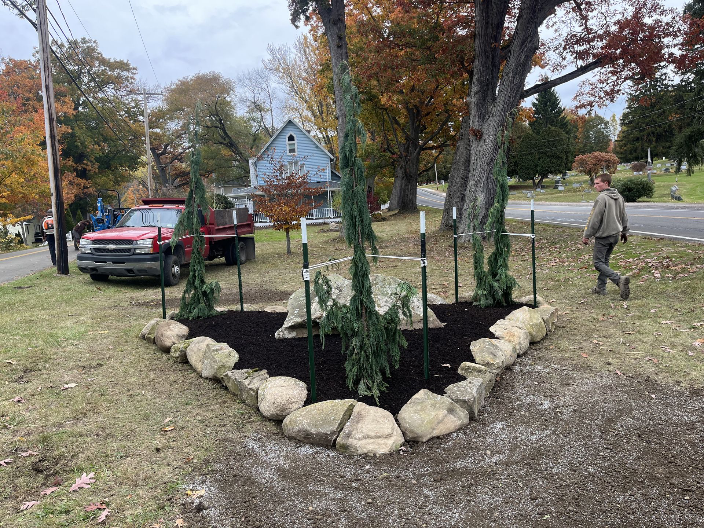 Arrowwood Landscaping Chautauqua County Specimen tree planting Rock border Mulch Bed Moonshoot Nootka Cypress