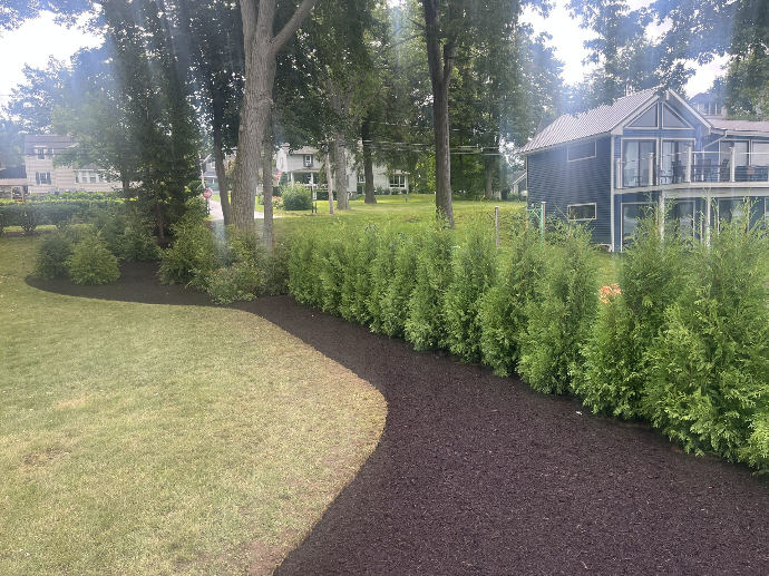 Arrowwood Landscaping Chautauqua County Bemus Point Hedge planting Privacy Screen Property line Dark green arborvitae Spring clean-up