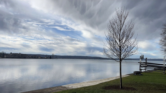 Arrowwood Landscaping Chautauqua County Tree plantings 